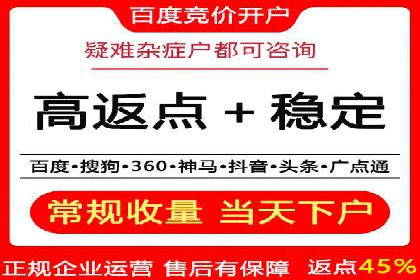 竞价广告案例分析：行业领军企业经验分享